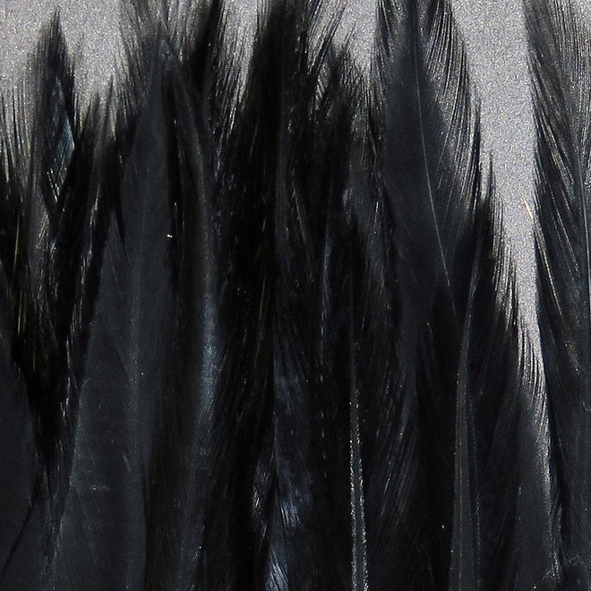 sadv001