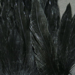 schl11