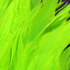 fl. chartreuse