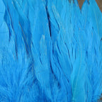 kingfisher blue