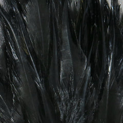scsd11