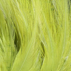 light olive