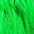 lime green