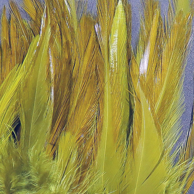 5-7" Dyed-Over-White Strung Saddle Hackle