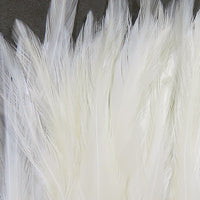scsd377