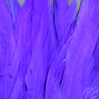 bright purple