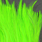 chartreuse