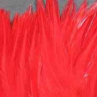 scsd78