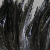 scsh11