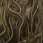 sculpin olive
