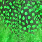 highlander green