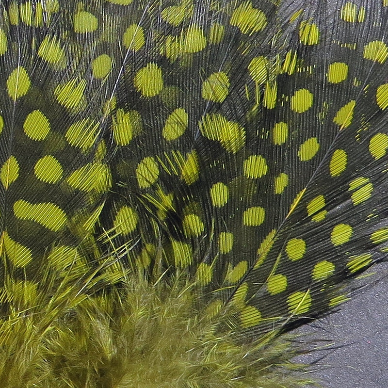 sgf263
