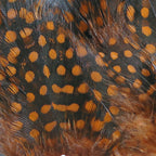 rusty brown