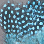 silver doctor blue