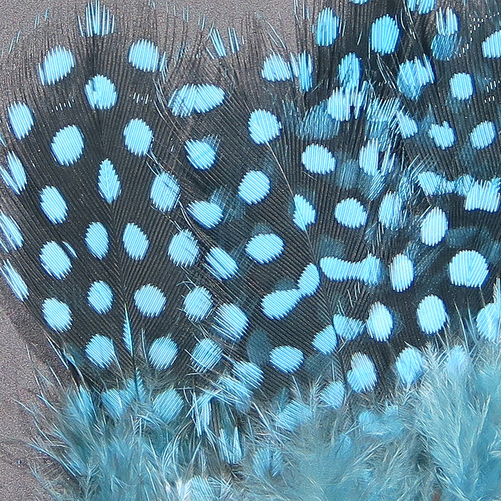 sgf347