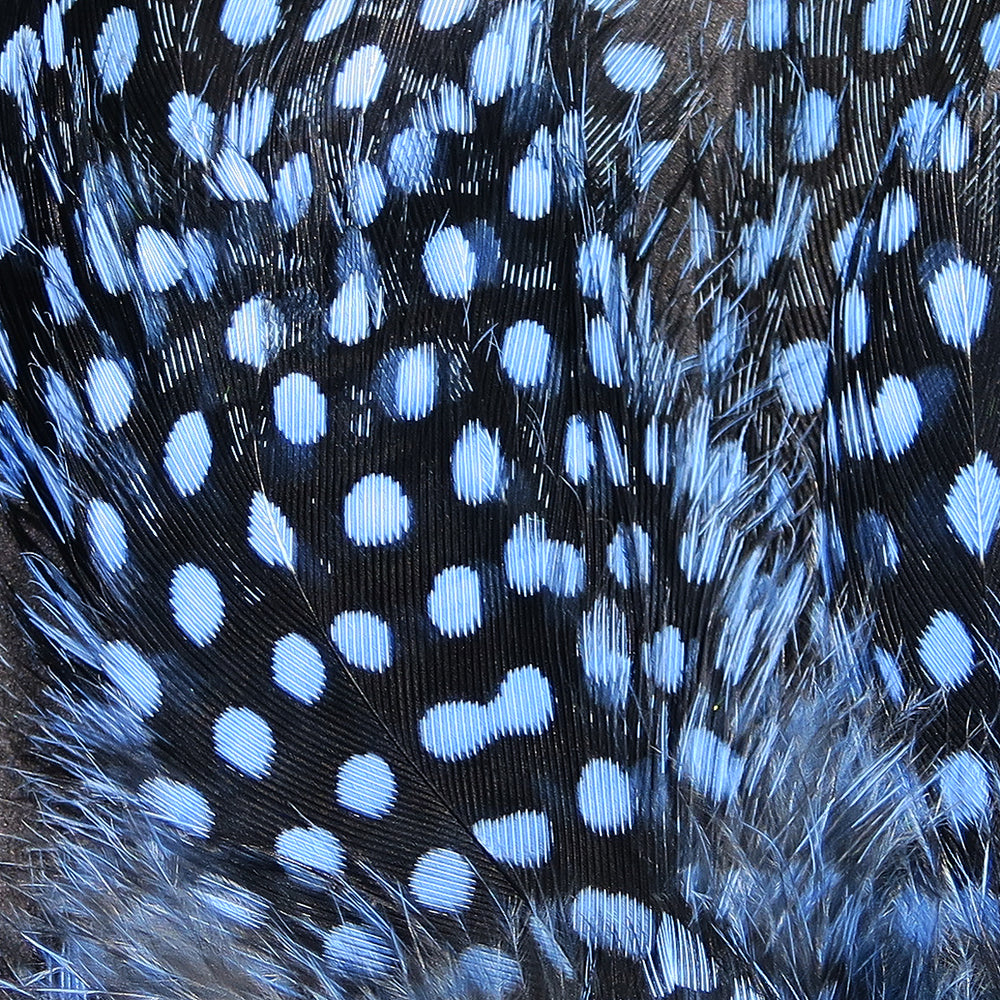sgf6