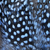 sgf6