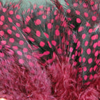 claret