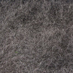 baetis gray