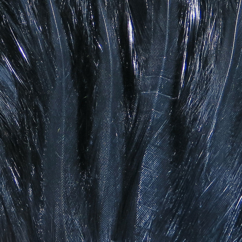 sn11