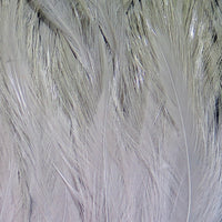 sn165