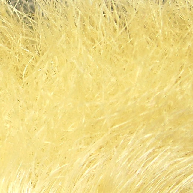 srf249