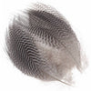 Teal Flank Feathers