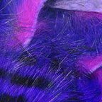 black/purple/fuchsia