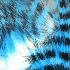 blue/black/white (minnow)