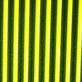 Tapered Synthetic Quill