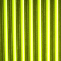 Tapered Synthetic Quill
