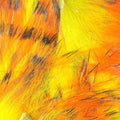 Tiger Barred 1/8" Rabbit Strips