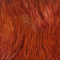 wbm323
