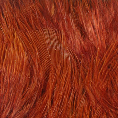 wbm323