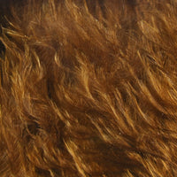 wbm40